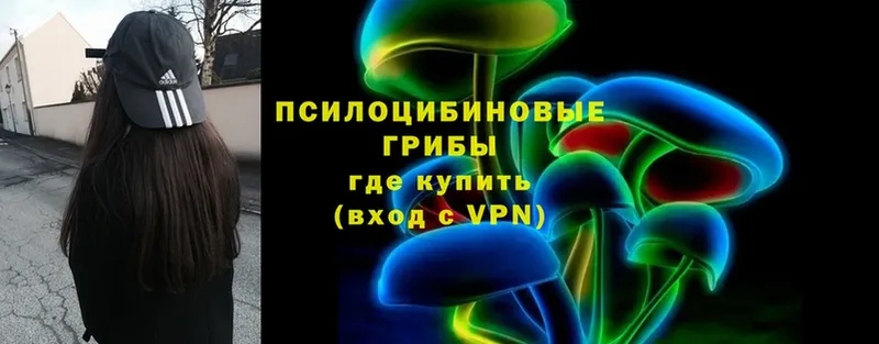 Галлюциногенные грибы Psilocybine cubensis  наркошоп  Улан-Удэ 